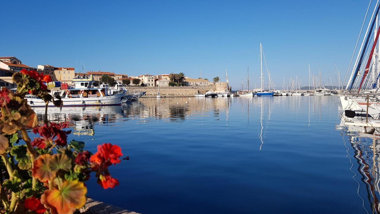 Appartamento In Centro Fronte Spiaggia Del Lido Con Terrazza Vista Mare E Wi-Fi 阿尔盖罗 外观 照片